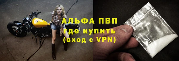 дживик Нефтекумск
